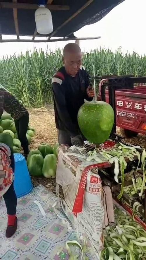 职业吃瓜的大爷,揭秘街头巷尾的“民间观察家”